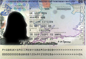 electronic visa portal